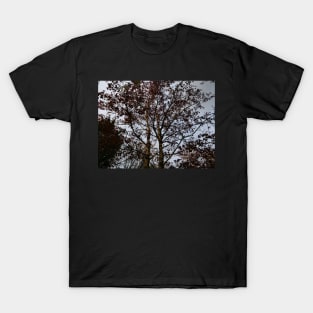 Purple leaves at sundown T-Shirt